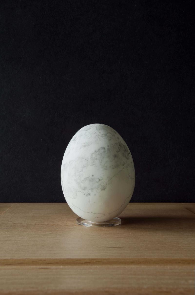Penny McCarthy, Moon Egg, Blown hen’s egg painted with gesso. A map of the moon is overlaid in ink and brush, displayed inside an acrylic cube 16 x 16 x 16 cm on a wooden base. 2018